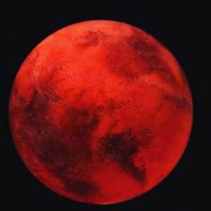 Meet your Posher, Stefanie